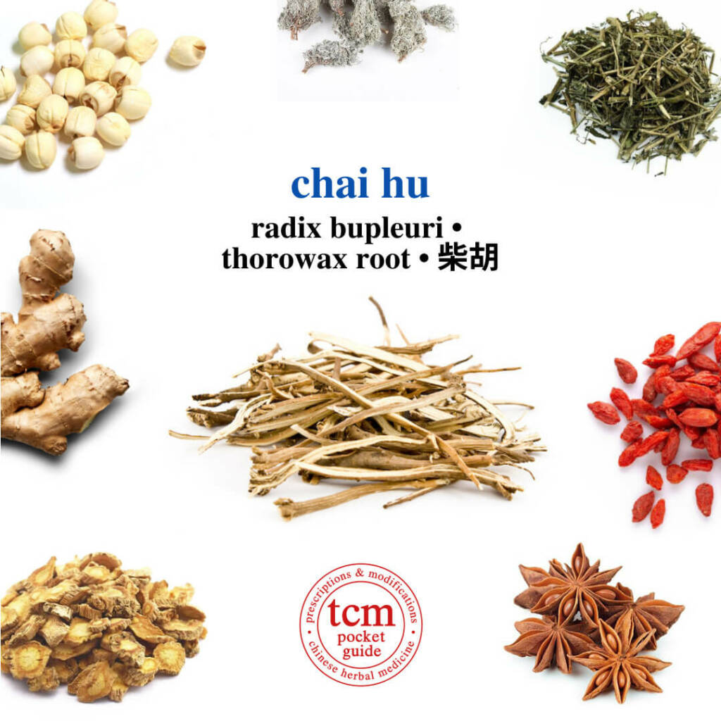 tcm pocketguide chai hu herb