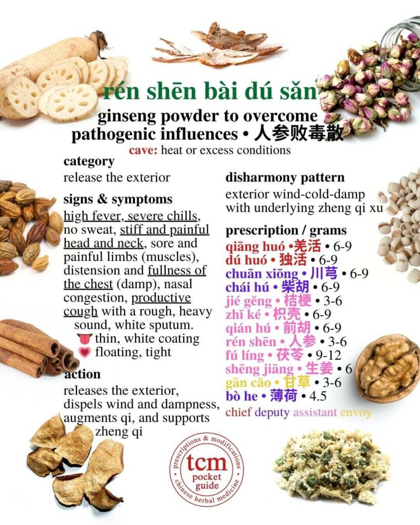 ren shen bai du san prescription