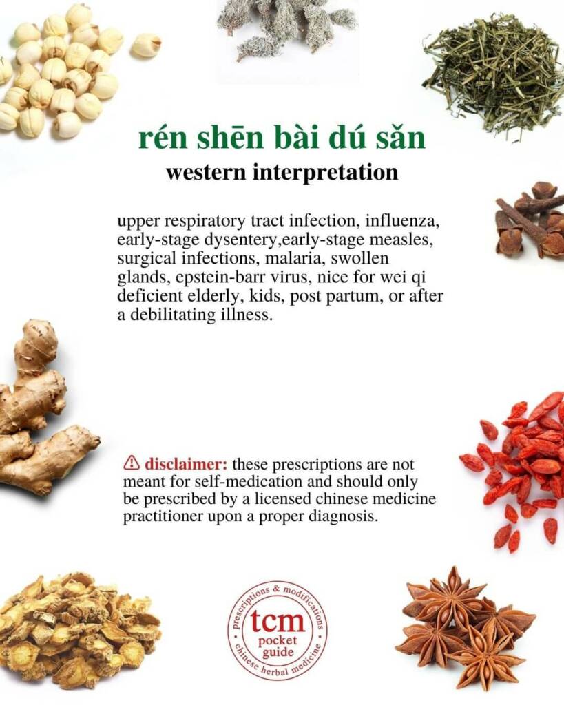 ren shen bai du san western interpretation