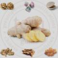 shēng jiāng • rhizoma zingiberis recens • fresh ginger rhizome • 生姜