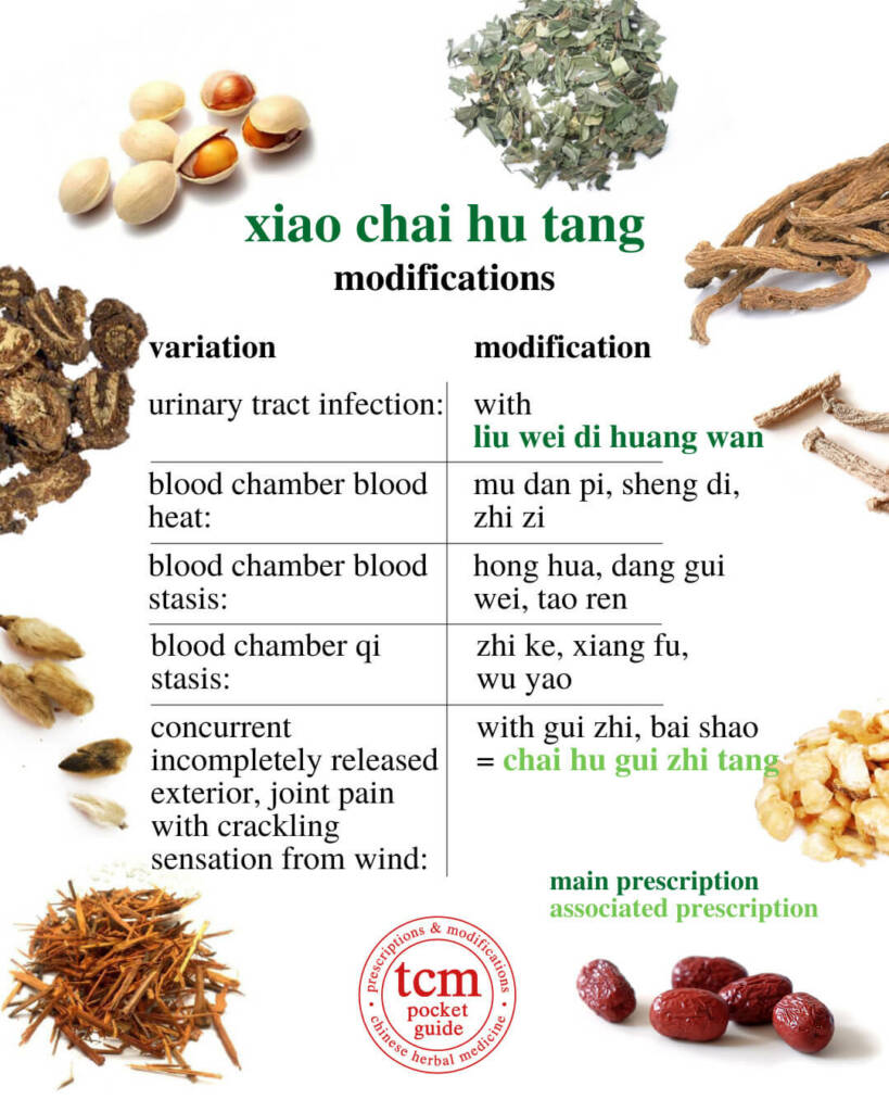 xiao chai hu tang modifications 3