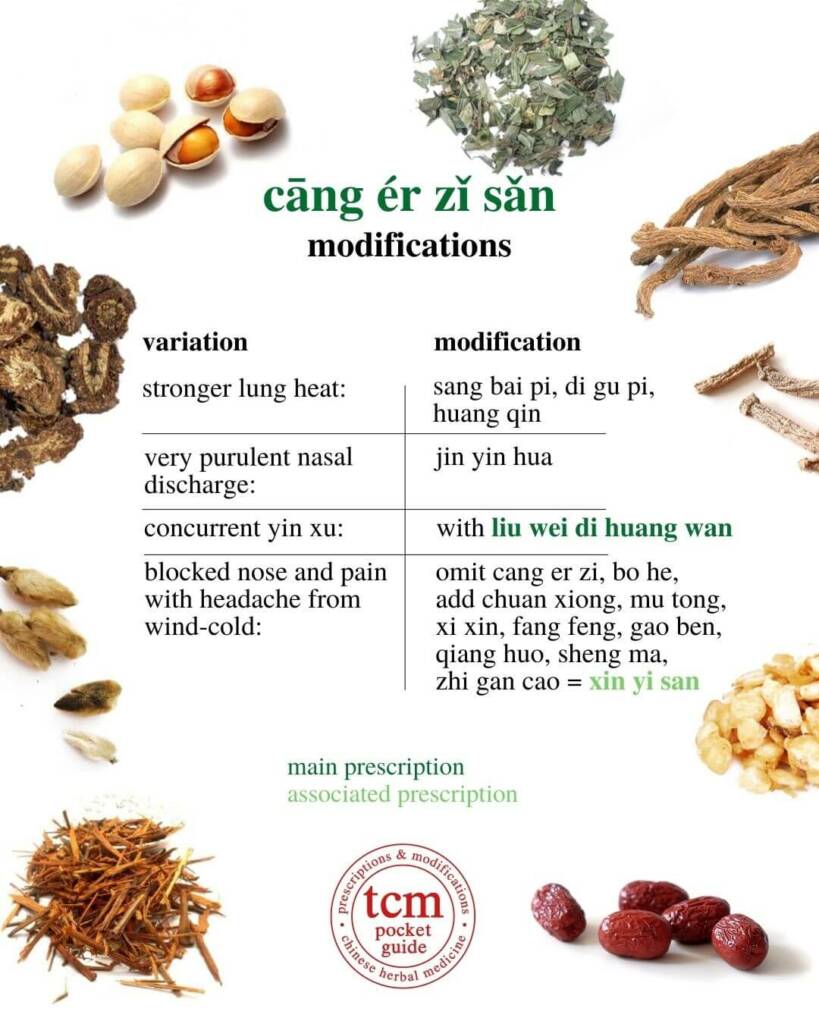 cang er zi san modifications