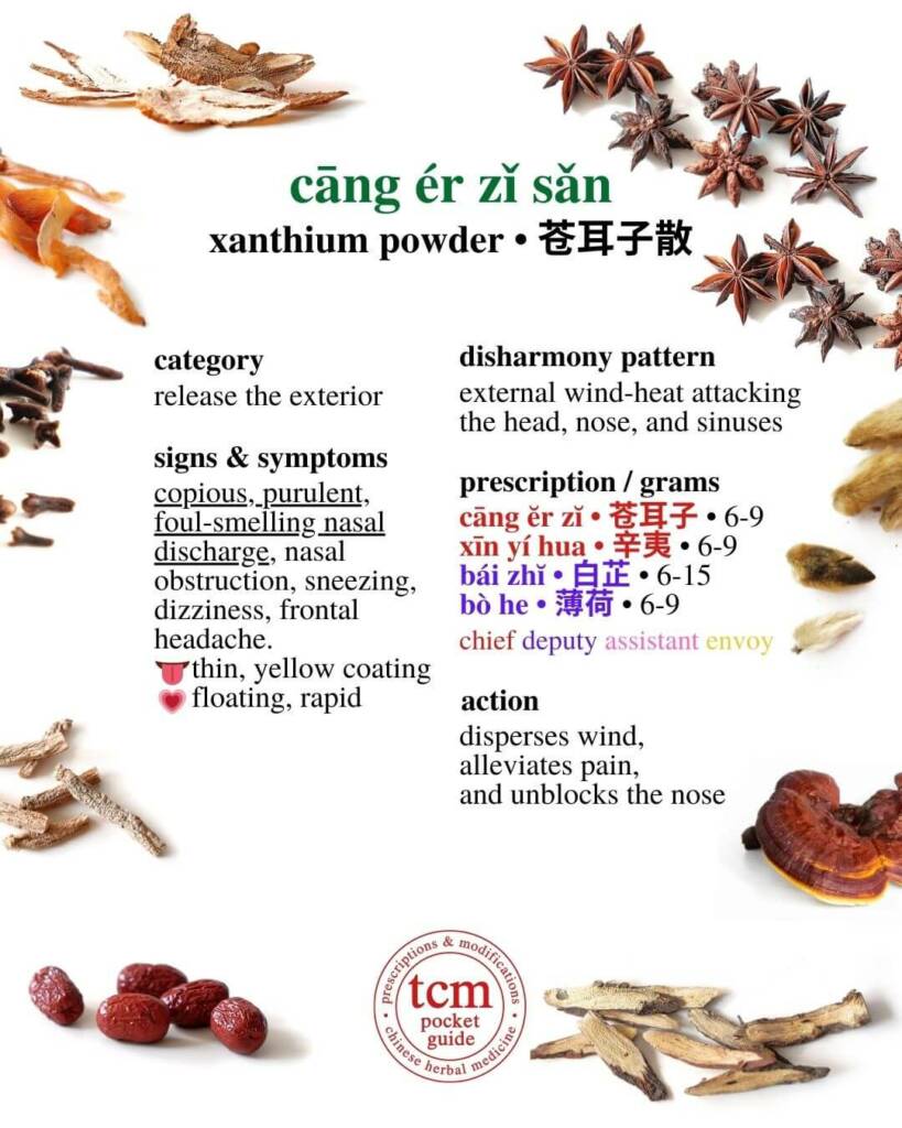 cang er zi san prescription - tcm pocketguide