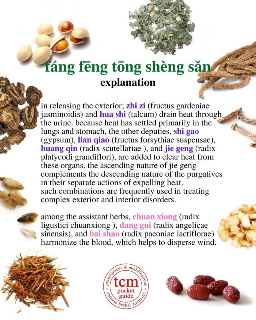 fang feng tong sheng san explanation 2