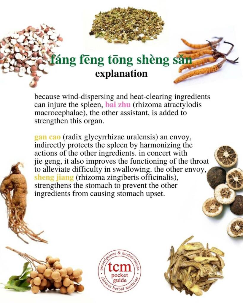 fang feng tong sheng san explanation 3