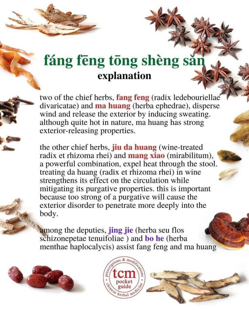 fang feng tong sheng san explanation