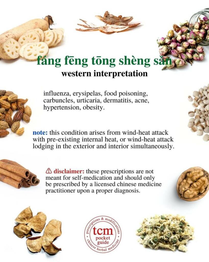 fang feng tong sheng san western interpretation