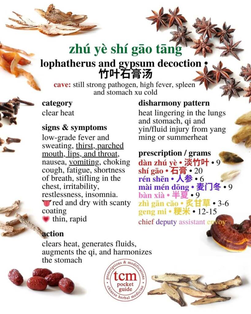 zhu ye shi gao tang prescription - tcm pocketguide