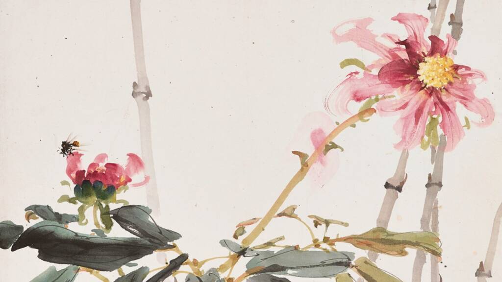 tcm pocketguide blog cover picture da huang mu dan tang