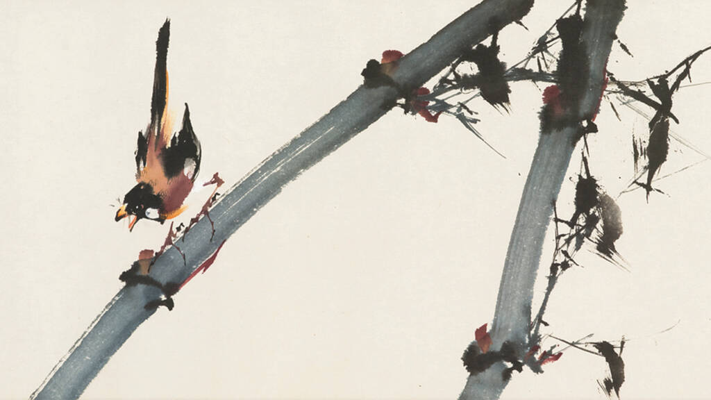 tcm pocketguide blog cover picture run chang wan