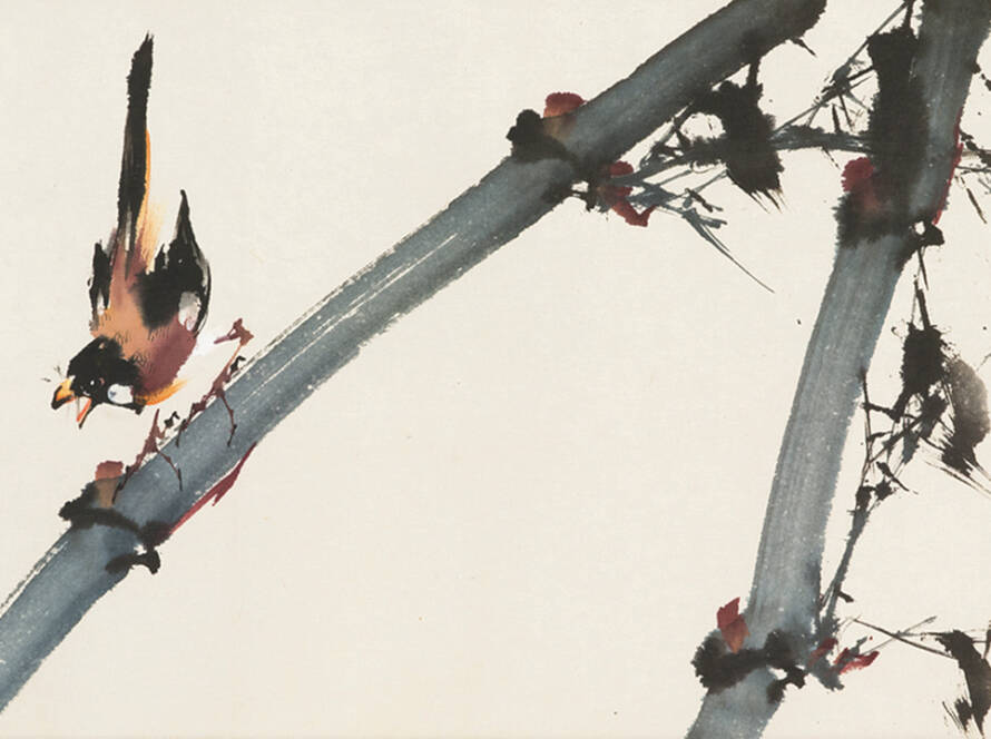 tcm pocketguide blog cover picture run chang wan