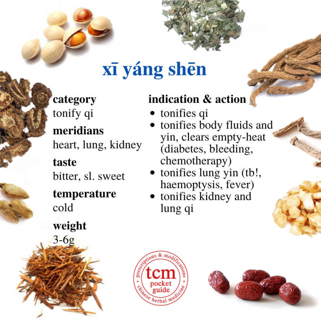 xi yang shen indication action