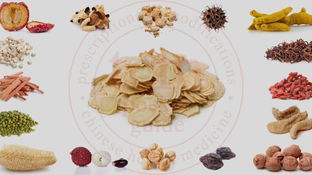 xi yang shen tcm pocketguide blog post