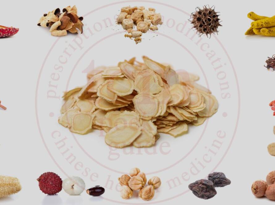 xi yang shen tcm pocketguide blog post