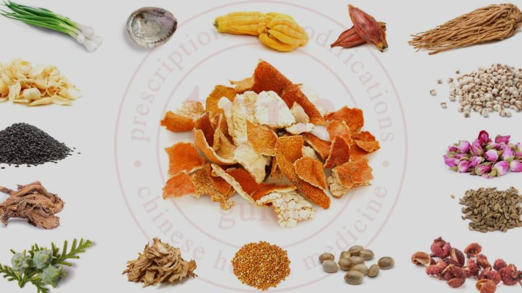 chen pi tcm pocketguide blog post