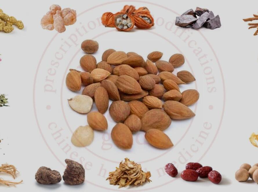 yu li ren tcm pocketguide blog post