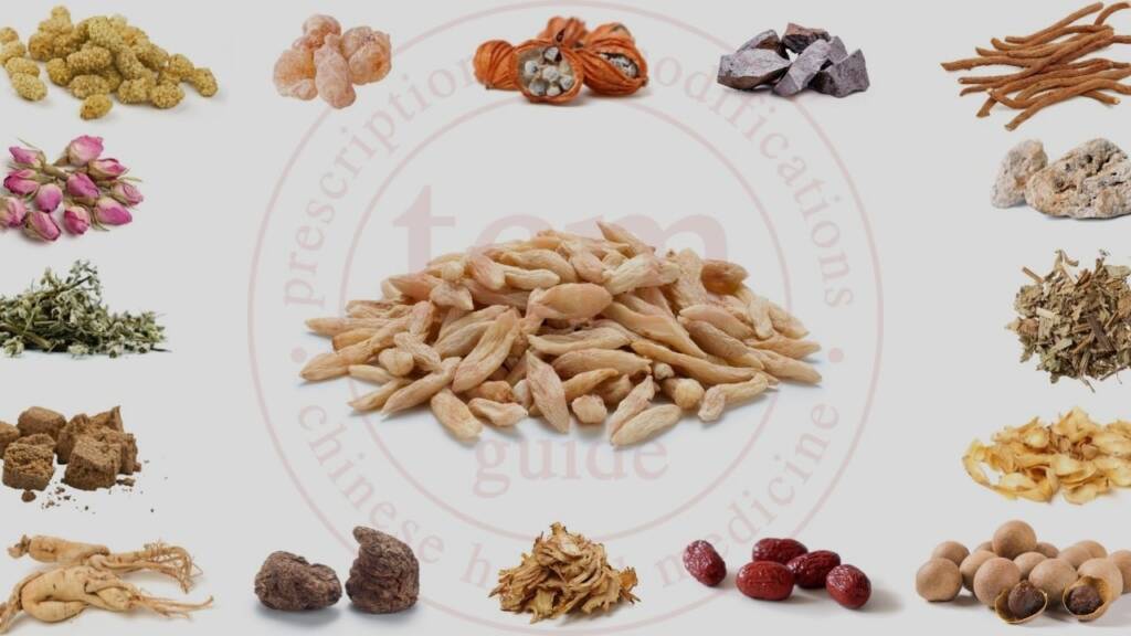 mai men dong tcm pocketguide post