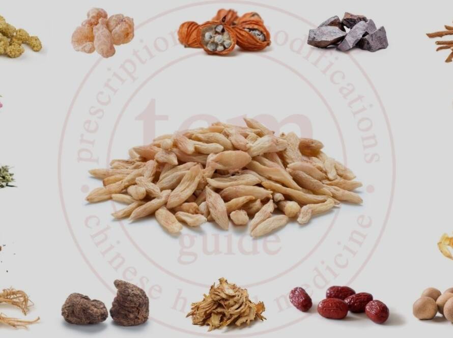 mai men dong tcm pocketguide post