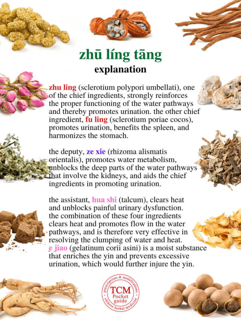 zhu ling tang explanation