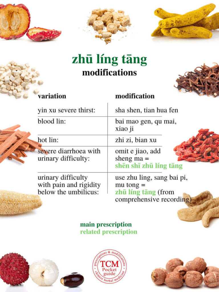 zhu ling tang modifications