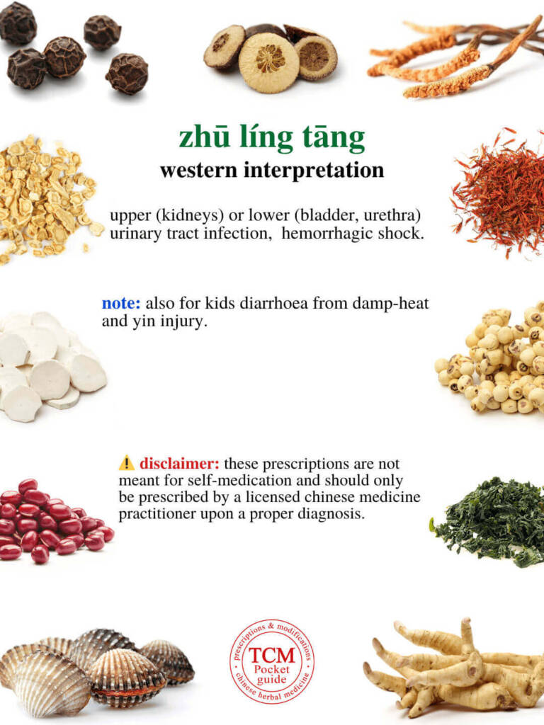 zhu ling tang western interpretation