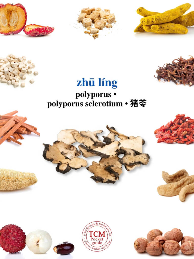 zhu ling